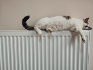 Dossier spécial chauffage : les différentes méthodes pour chauffer votre logement